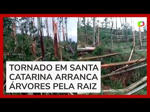Tornado provoca destruição em Santa Catarina