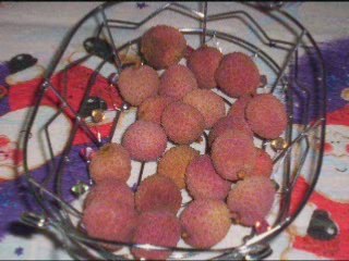 sega - babou et dryce