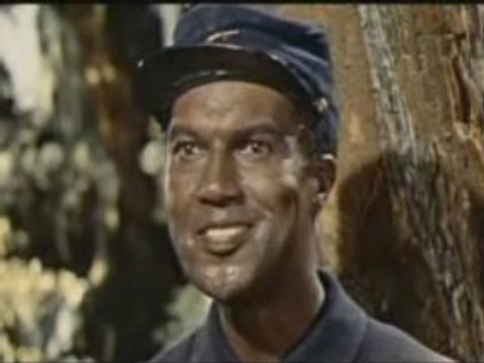 La cueillette aux champignons