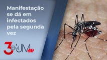 Dengue hemorrágica é forma mais grave da doença