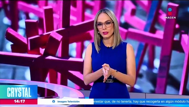 Diana Laura fue asesinada por su expareja, ahora su familia exige justicia