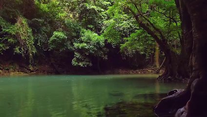 30 Min. Meditation Music, Inner Peace. Soft Rain Sounds