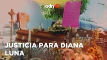 Justicia para Diana Luna. Fue asesinada por su pareja en su casa en Coyoacán