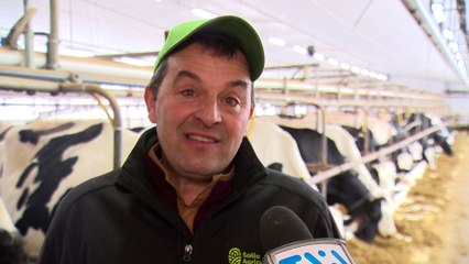 Topo ferme drahoka kamouraska