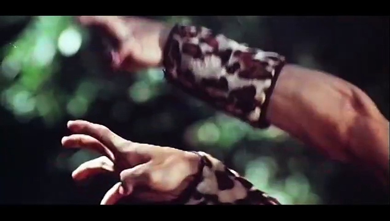 Der Todesschrei der Tigerkralle | movie | 1977 | Official Trailer