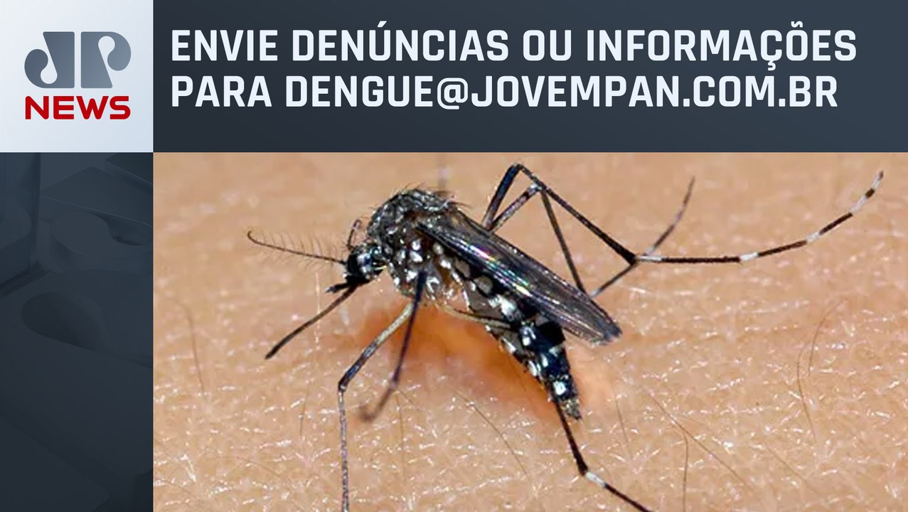 Como evitar criadouros do mosquito da dengue?
