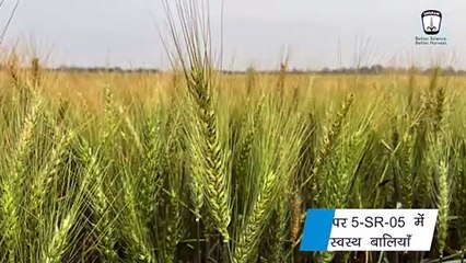 Shriram Super 5-SR-05 - Super Farmers of Muzzarfarpur, Bihar