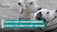Corre con responsabilidad: ¡Lleva a tu perro con correa!