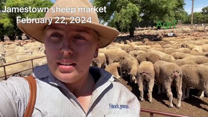 Jamestown Market - February 22, 2024 - Stock Journal