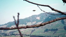 Super 8 beamship footage (UFO) shot by Eduard "Billy" Meier in 1975