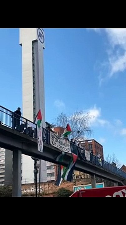 free Palestine