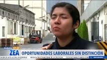 El Partido Verde busca oportunidades laborales sin distinción