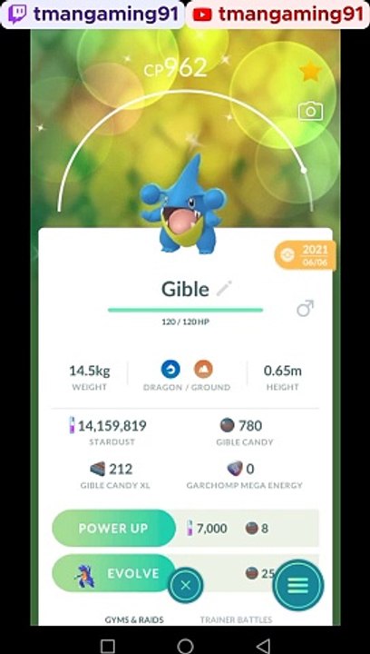 Pokémon GO-Evolving Shiny Gible