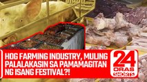 Hog farming industry, muling palalakasin sa pamamagitan ng isang festival?! | 24 Oras Shorts