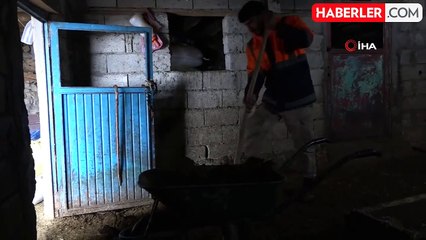 Beytüşşebap'ta ahırlarda zorlu kış mesaisi