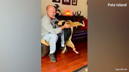 When your dog acts like a comedianFunny Dog and Human