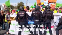 Protesta agricoltori: scontri con la polizia in Spagna, nuove manifestazioni in Francia