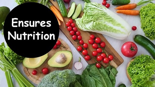 Delving into the Reasons Why Dogs Require Supplements