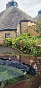 Sheffield dad Bill Bidwell's Live and Let Die' funeral as he is played out by New Orleans jazz band