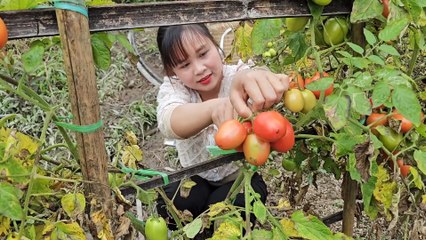 Everyday stories of rural girls