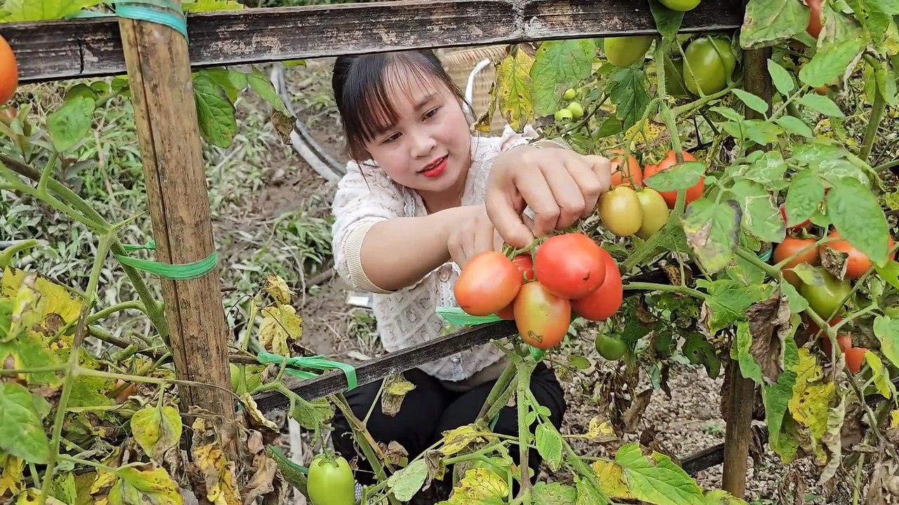 Everyday stories of rural girls