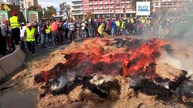 В Испании и Франции не стихают протесты фермеров