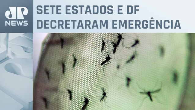 Brasil ultrapassa 700 mil casos prováveis de dengue