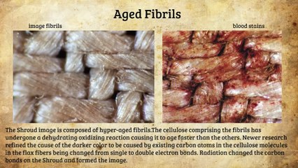 2. The Shroud of Turin - Photograph of the Resurrection