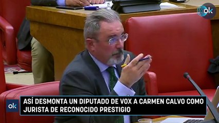 Así desmonta un diputado de Vox a Carmen Calvo como jurista de reconocido prestigio
