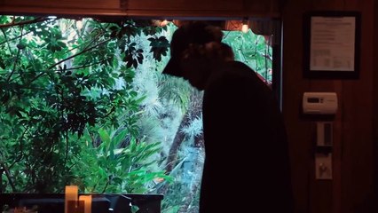 Kids Are Growing Up Trailer OV