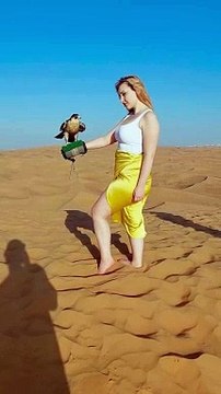 Desert safari Dubai tour, Buggy ride, Quad bike