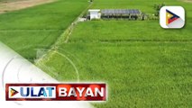 D.A., bumuo ng technical working group para tulungan ang Kongreso na amyendahan ang Anti...