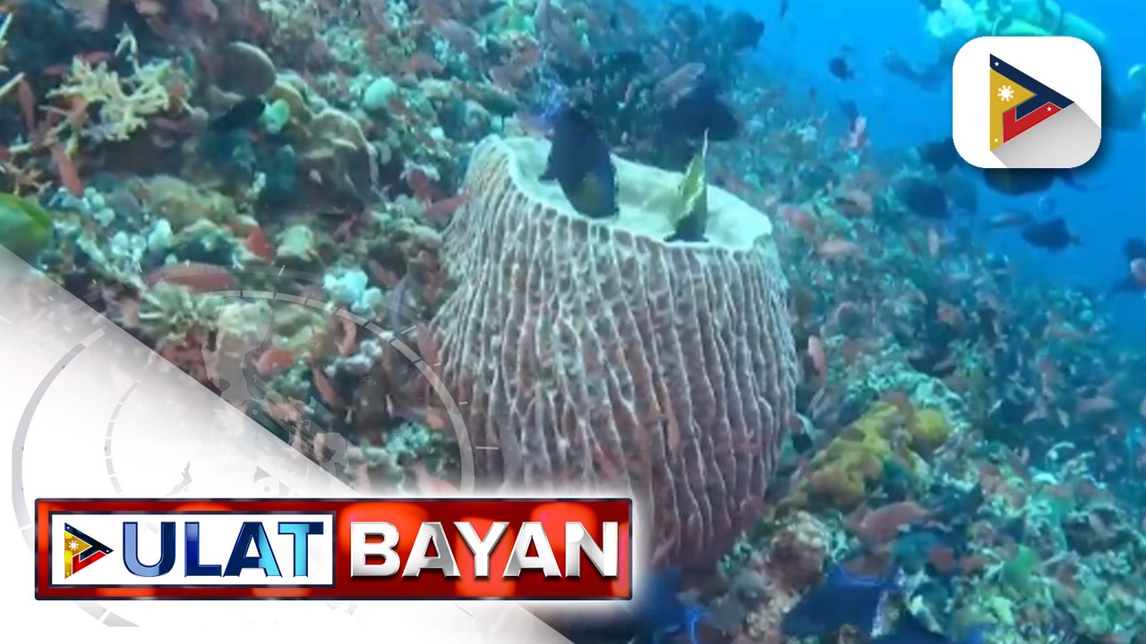 DOT, muling isinagawa ang PHIDEX para mas palakasin ang dive tourism sa bansa