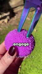 Boys facts That Girls Do Not Know 