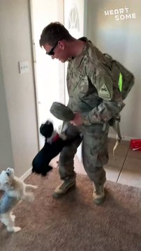 Emotional TAIL WAGS! Soldier Surprises Dogs with EPIC Reunion! #MilitaryHomecoming