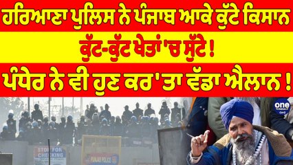 ਹਰਿਆਣਾ ਪੁਲਿਸ ਨੇ ਪੰਜਾਬ ਆਕੇ ਕੁੱਟੇ ਕਿਸਾਨ, ਕੁੱਟ-ਕੁੱਟ ਖੇਤਾਂ 'ਚ ਸੁੱਟੇ! |OneIndia Punjabi