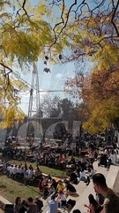 Festival What the foc!