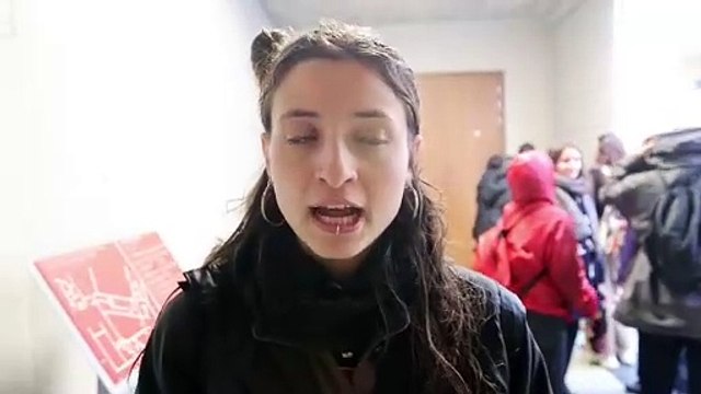 Scontri a Pisa, la studentessa: Corteo pacifico, poi le cariche della polizia