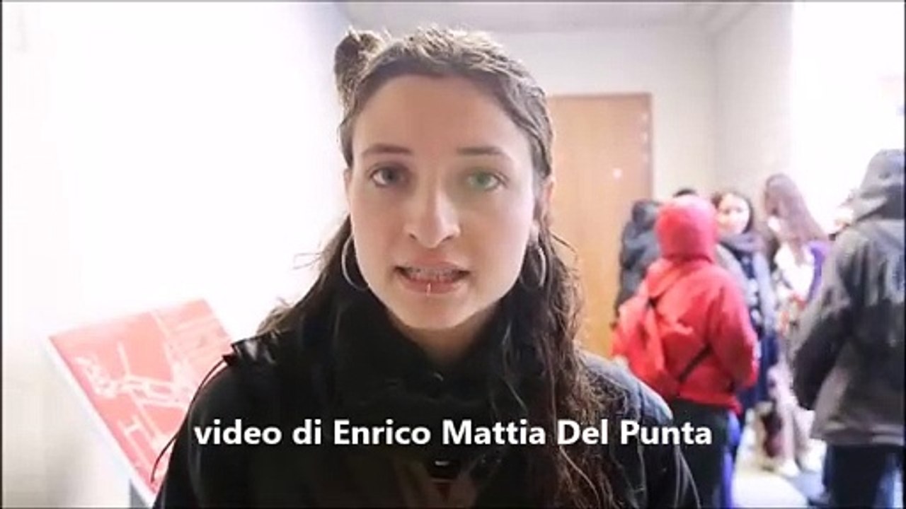 Scontri a Pisa, la studentessa: "Corteo pacifico, poi le cariche della polizia"
