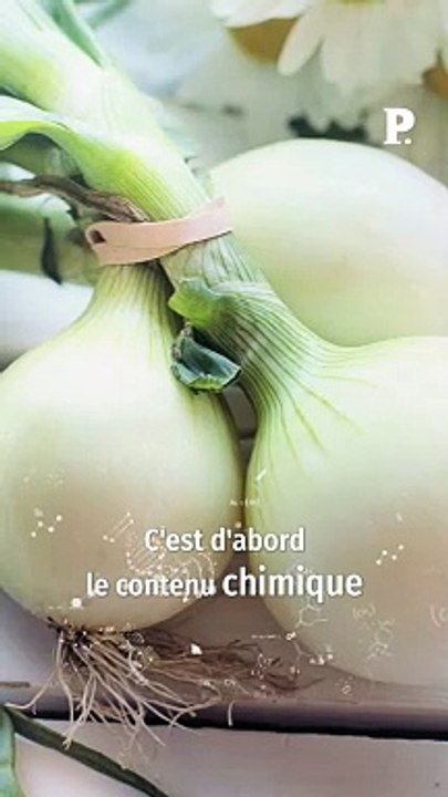Les oignons ont-ils vraiment des effets bénéfiques sur notre santé ?