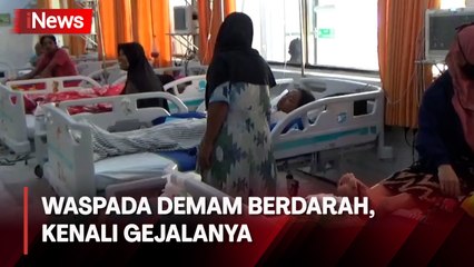 Waspada, 4 Orang Meninggal Akibat DBD di Jombang, Pasien Mayoritas Anak-Anak
