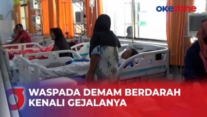 Tải video: Ratusan Warga Terjangkit Demam Berdarah di Jombang, 4 Orang Meninggal