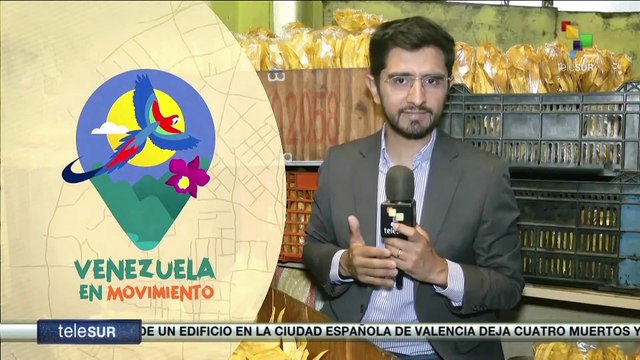 Venezuela en Movimiento: El plátano, elemento fundamental de la cocina popular