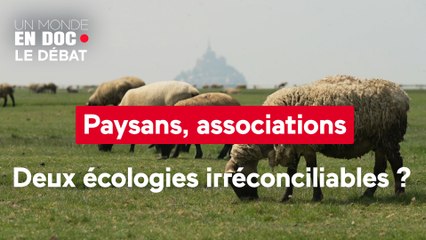 Un monde en doc - Un monde en doc - Paysans, associations : deux écologies irréconciliables ?