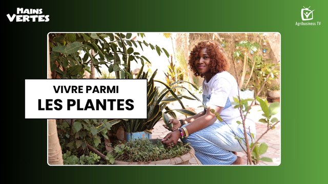 Mains Vertes : Vivre parmi les plantes