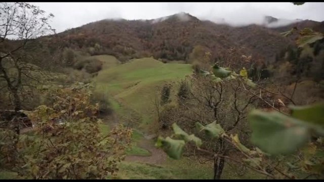 Fondazione Cariplo per l'ambiente: lavoriamo su clima e giovani