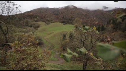 Fondazione Cariplo per l'ambiente: lavoriamo su clima e giovani