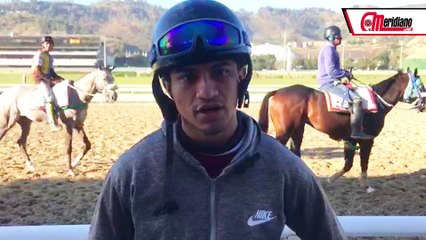 Conoce a Kevin Aray: Prometedor Jinete en el Mundo del Hipismo 🐎