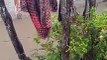 VÍDEO: Fortes chuvas deixam rua completamente alagada em cidade na Bahia; veja