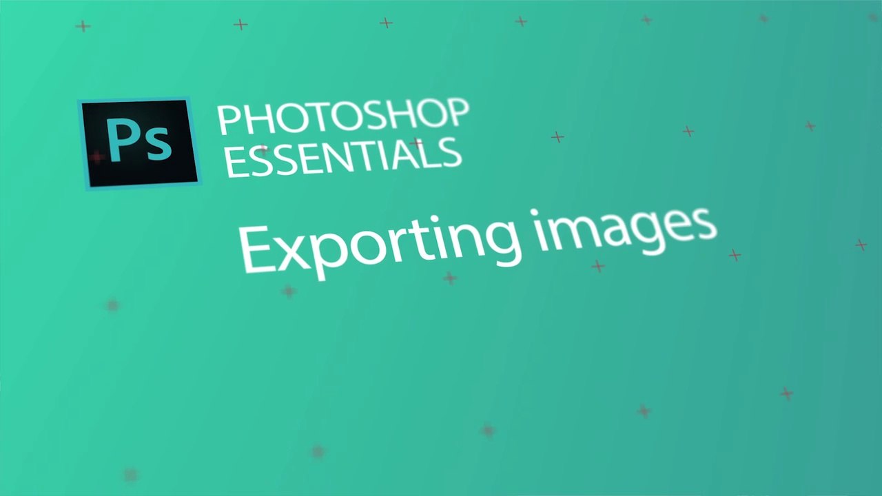 19. Export